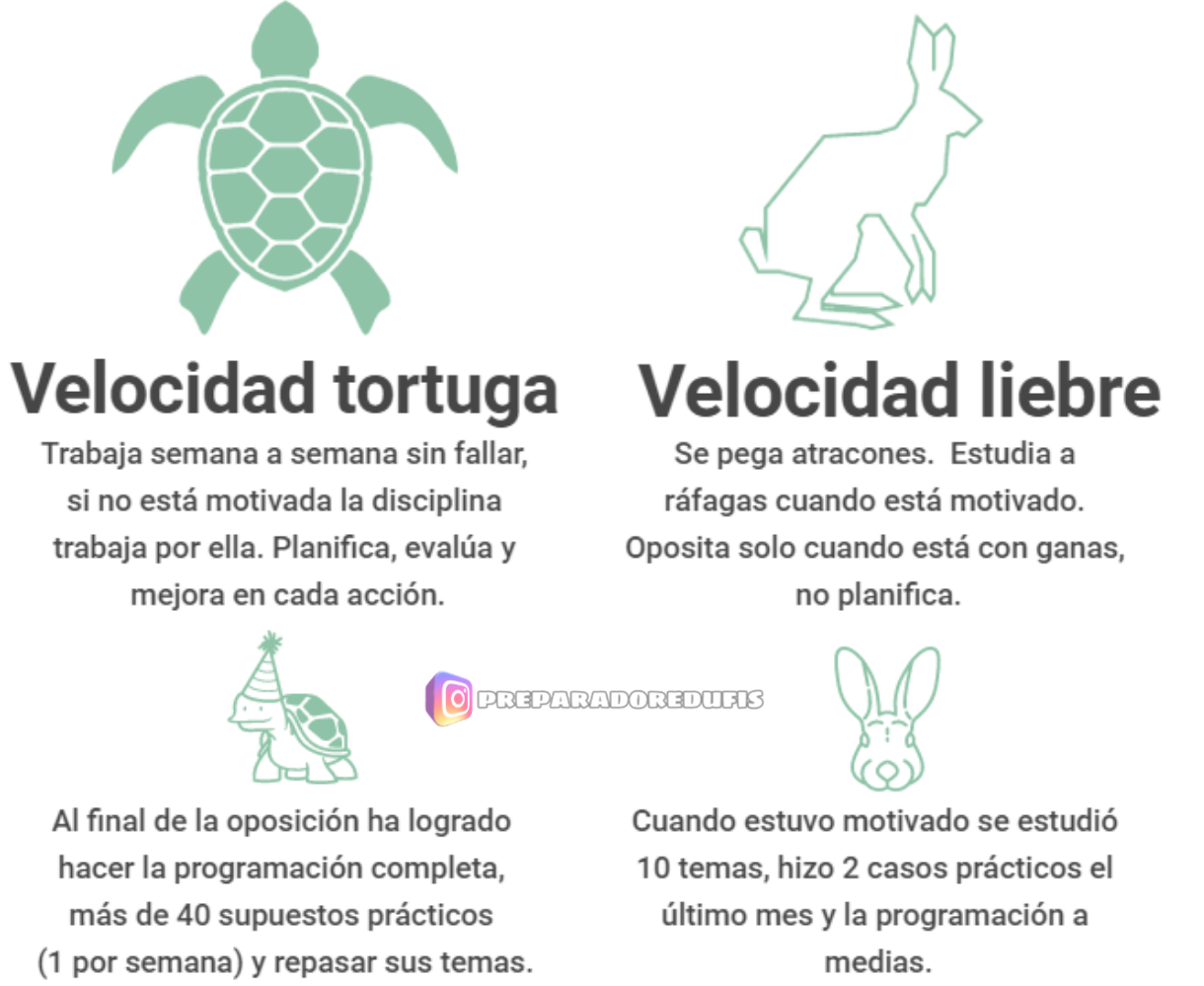 Velocidad tortuga vs velocidad liebre